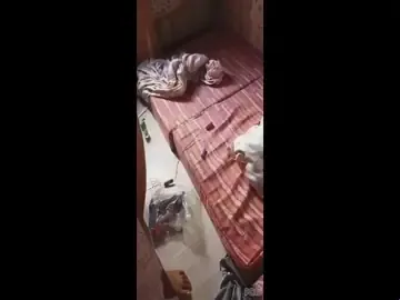 Ngintip Kamar Pacar Lagi Sendirian Sambil Dengar Desahan Panjang